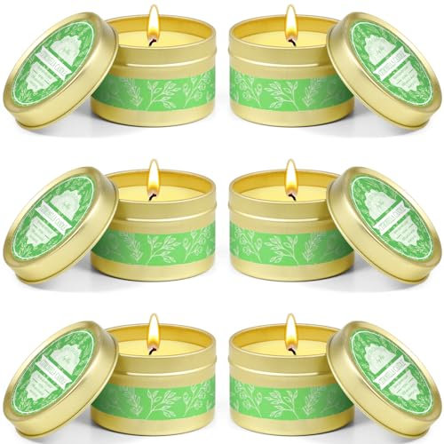 Citronella Kerze Outdoor, Zitronengras Duftkerzen im Dose Aromatherapie Sojawachs, Kerzen Outdoor für Innen und Draussen, Garten,Picknick, Camping, Terrasse (6 x 95 g)