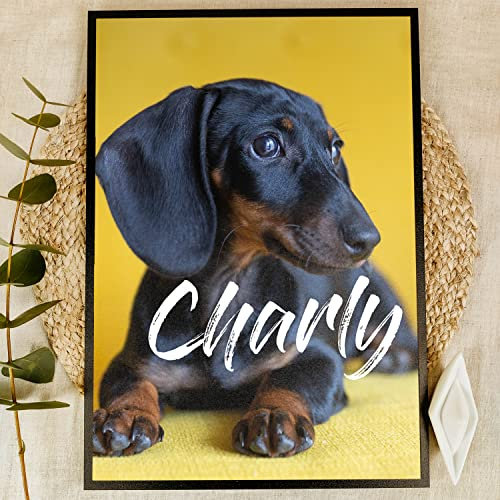 Elbeffekt Dackel Geschenke Holzbild - Foto Geschenk - personalisierbar zum Hinstellen/Aufhängen optional beleuchtet Dackel Deko, Mein Dackel Kuscheltier
