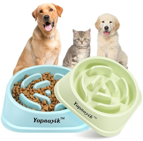 2 Pack Slow Feeder Dog Bowls for Medium Dogs & Cats