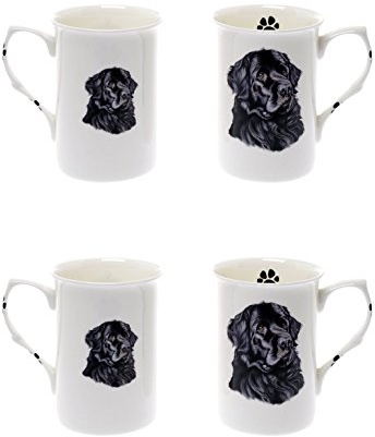 (BB40) Bone China Set of 4 Newfoundland Dog Mugs Presentation Gift Boxed