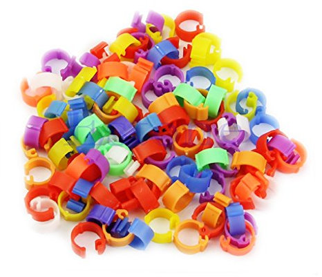 Kcnsieou 100 x wiederverwendbare Ringe für Hühner, Hühner, Tauben, Bein, Geflügel, Taube, Vogel, Ente, Küken, Papageien