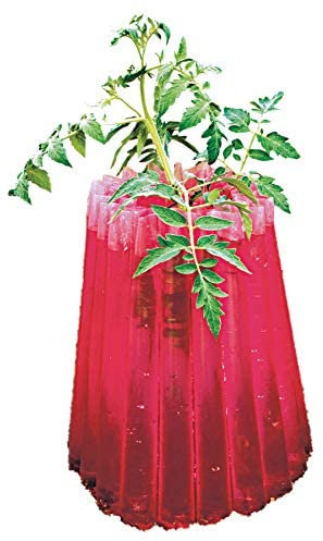 Park Seed Kozy Coats Pflanzenschutz, isolierend, 6 Stück