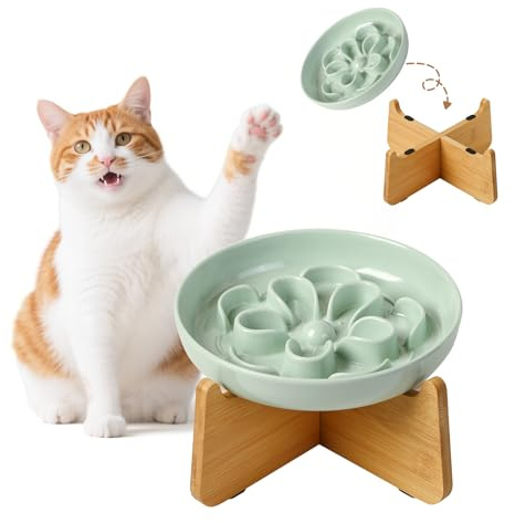 Gamelle Anti Glouton Chat Surélevée - Gamelle Mélamine avec Support en Bambou Antidérapant - Bol Chat pour Alimentation Lente - Motif Labyrinthe Floral - Vert
