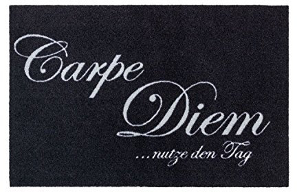Astra Otto Golze Carpe Diem Türmatte 58 x 39 cm sauberlauf schwarz