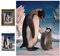 3D LiveLife Linsenförmige Wandkunst Drucke - Pinguinsohn von Deluxebase. Ungerahmtes 3D Winter Poster. Perfekter Wandfüller. Original kunstwerk lizenziert von bekannt künstler, David Penfound