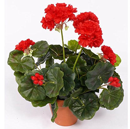 Geranien Kunstblumen rot mit Blätter, Höhe ca. 30cm – Künstliche Pelargonien Kunstgeranien Dekogeranien zum Stecken