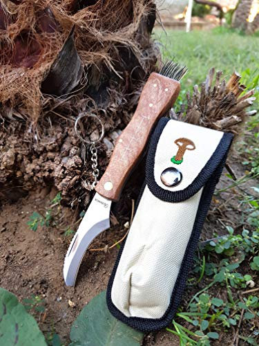 Coltello Funghi con Spazzola Coltello per Raccolta Funghi Porcini cardoncelli Tartufo con Lama in Acciaio Inox con Custodia