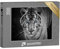 puzzleYOU: Puzzle 2000 Teile „Portrait eines weißen Tieres mit stechend blauen Augen“ – aus der Puzzle-Kollektion Tiger, Tiere in Savanne & Wüste
