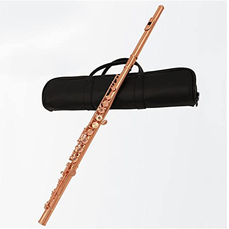 PECY Vergoldete Flöte 17 Schlüssel Offene Löcher Flöte Mit Etui Querflöten