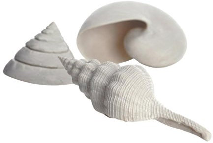 biOrb 46133 Muschel Set 3 weiß - kompakte Keramik-Muscheln, Aquarien-Dekoration, für biOrb Aquarien, Süßwasseraquarium, Meerwasseraquarium geeignet