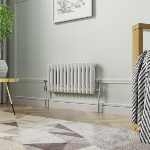NRG 300 x 605 mm Gloss White Horizontal Cast Iron Radiator Double Panel for Bathroom Living Room and Kitchen