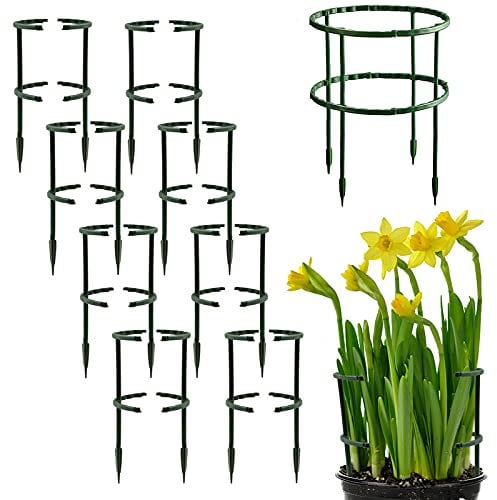 HCLRW 16 PCS Plant Support Stakes, Upgrate Double-deck Spliceable Half Round Plant Support Ring,Garden Flower Support for Tomato, Hydrangea, Indoor Plant Stake (5.5 X 9.5)