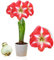 Amaryllis Zwiebel Striped Passion - 1 Blumenzwiebel in Großformat 26/30 - Exklusive Blumenzwiebeln Amarillis - Echte Pflanzen aus Holland, Hippeastrum Zwiebeln (keine Samen, Wachs und nicht künstlich)