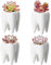 DHliIQQ 1Pcs Zahn Geformt Keramik Blumentopf Einrichtung Nette Blume Kaktus Becken Vase Sukkule Pflanze Topf Tisch I3V7 Kinderzimmer