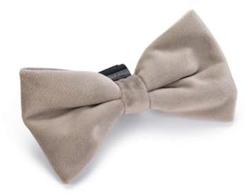 Designed by Lotte Fliege Zaza - Hundehalsband - Velvet - Grau - 12x7x2