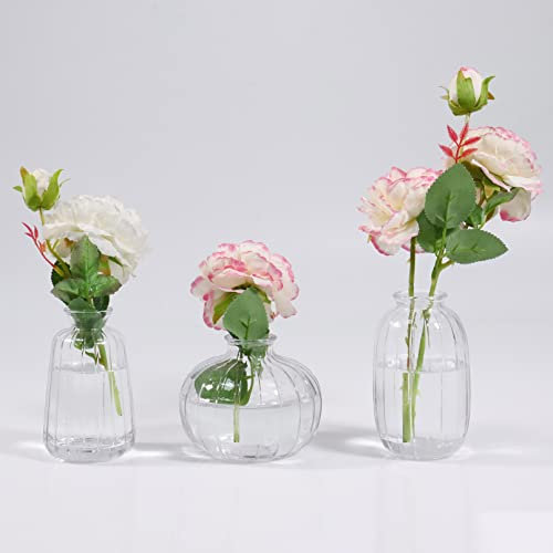 3er-Set Klar Kleine Vasen für Tischdeko Dekorativ Glasvasen Blumenvase Set Bud Vase