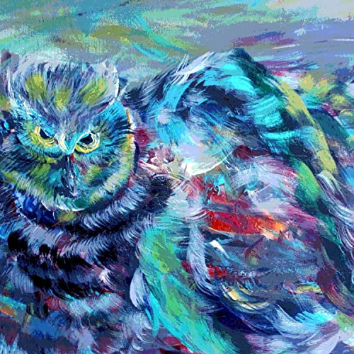 Owl [Explicit]