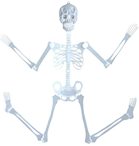 Tricky 150 cm Körper Scary Luminous House Toy Prop Halloween Skeleton Neuheit 2 Stück Elektroschock Kugelschreiber Kugelschreiber Spielzeug Witz Spielzeug Gadget Spielzeug Für Erwachsene Narren