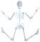 Tricky 150 cm Körper Scary Luminous House Toy Prop Halloween Skeleton Neuheit 2 Stück Elektroschock Kugelschreiber Kugelschreiber Spielzeug Witz Spielzeug Gadget Spielzeug Für Erwachsene Narren