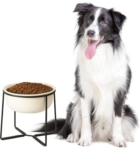 Comedero Perro Elevado Grande Ceramica - Cuenco Perro para Comer con Soporte Antideslizante - Bebedero Perro Alto - Bol Comida y Agua para Perros Medianos y Grandes - Platos Elevados Perros - 1600 ml