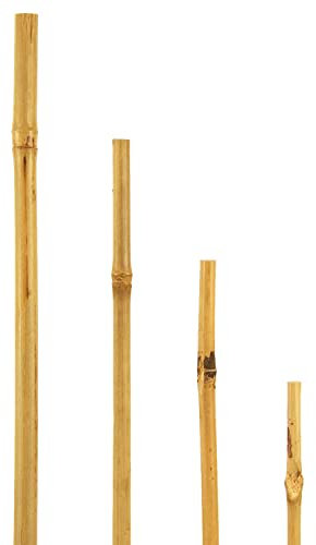 Bellissa - Bâtons de bambou - Divers ensembles - Longueur et barre de fixation (25, 180 cm)