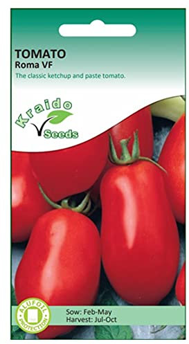 Red Plum Tomato Seeds Roma VF Solanum Lycopersicum 200 Seeds Grow Your Own Vegetables Ideal for Greenhouse or Garden Growing in Raised Beds Polytunnel Growbags or in Large Pots and Containers