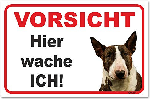 AdriLeo Schild - Vorsicht Bullterrier - Hier wache ich - (15x20cm) / Dunkelbraun/weiß - Achtung Hund Wachhund robust langlebig UV-beständig wetterfestes Warnschild