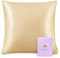 OLESILK Seide Kissenbezug Kissenhülle Haar- und Hautpflege mit Reißverschluss 16 Momme 1 Stück Gold 40x40cm