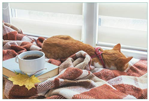 Wallario Küchenrückwand selbstklebend 90 x 60 cm, Motiv: Schlafende Katze beim Kaffeekränzchen | Spritzschutz abwischbar & pflegeleicht
