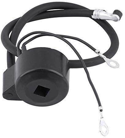 Module de bobine d'allumage petit accessoire de moteur pour moteur Tecumseh 30560A 29632 30546 610768 611038