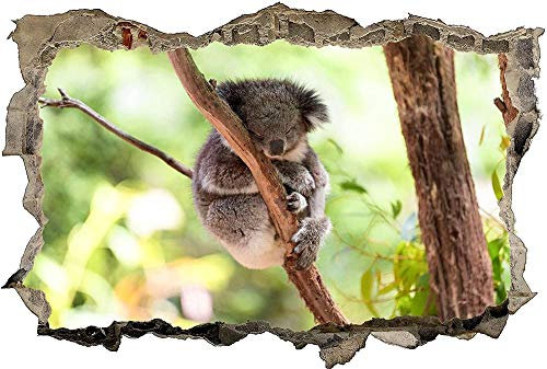 Wandtattoo Koala Australien Bambus Naturtier Wandsticker Wandaufkleber 3D-Effekt Durchbruch für Babyzimmer Kinderzimmer 80x120cm