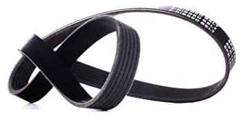 RIDEX Keilrippenriemen 305P0425 Golf VII Schrägheck (5G1, BQ1, BE1, BE2) 1005mm