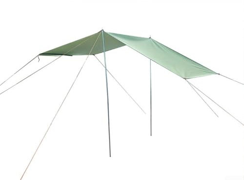 Toldo lateral de tela Oxford impermeable para el techo del coche, toldo lateral para camping, viajes al aire libre (300 x 200 cm, ceniza)