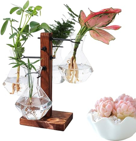 Terrarium aus mit Ständer, Hydrokultur-Birnen, Elegante Anzuchtstation, organisches Wachstum der Holzbasis, sicher, einfach, elegant, geeignet zum Leben