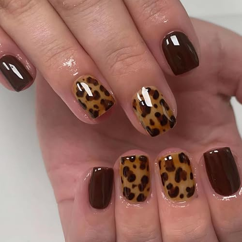 24pcs Leopard Print Press On Nails, Short Fake Nails with Glue, 12 Sizes Full Cover Stick On Nails, Elegant French Tip Nail Art for Women & Girls