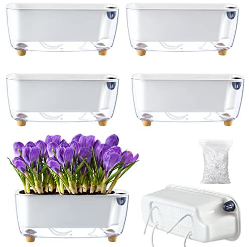 Confezione da 5 fioriere rettangolari, 30 x 11,7 cm, autoirriganti, per davanzali e interni, rettangolari, vasi per piante in plastica per orchidee di fiori viola africano (trasparente, 5)