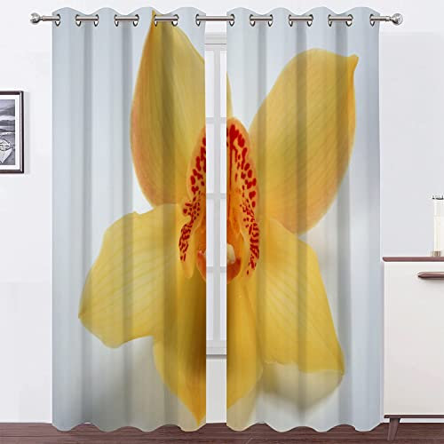 Vorhänge Hellblaues Alba Vorhang Blickdicht VerdunklungsvorhäNge mit öSen, Gardinen Wohnzimmer Schlafzimmer Modern Bedruckt Curtains H 138 X B 117 cm 2er Set