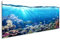 islandburner Prime Bild auf Leinwand Unterwasser-Szene mit Riff und tropischen Fischen Wandbild Leinwandbild Poster DYK