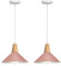 LIGKIN 2 Pezzi Lampadario a Sospensione Moderno E27 Lampadari Industriale Ø25cm Paralume Metallo Lampade a sospensione Legno per Cucina Sala da Pranzo Sala Caffè (Rosa)