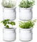 Phoenix Vine 51-B-E-4 Selbstbewässernder Pflanztopf Design Weiße Terrakotta-Töpfe für Pflanzen, Zylinder-Terrakotta-Töpfe mit Glasvase, 10,2 cm, 4 Stück