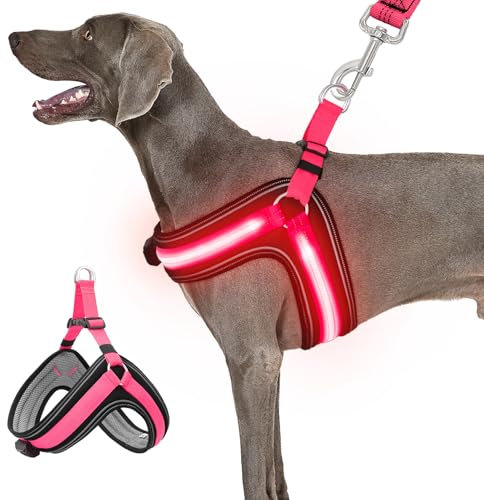 BiPawTi Beleuchtetes Leuchtgeschirr für Hunde, Aufladbar Brustgeschirr Hund Groß mit 3 Lichtmodi, Leuchtet Im Dunkeln Leuchtendes Hundegeschirr Große Hunde, Leuchtweste fürs Camping mit Hund, Rotlicht
