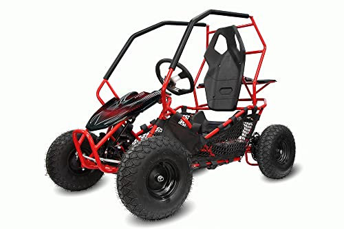 Nitro Motors Eco Gokart Racer 1000W 36V 2-Stufen Drossel Kinderbuggy Kinder-Quad, Farbe:Rot
