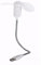 REY Mini Ventilador USB Blanco con Cable Flexible de 17 Cm, Calificación Energética A+++