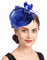 Épingles à cheveux Femme Accessoires Coiffure Mariage Chapeau Bibis Fascinator Bride Voilette en Maille Élégantes Serre-tête pour Cocktail Mariage Cérémonie Photographe Fête Soirée Déguisement,Bleu,TU
