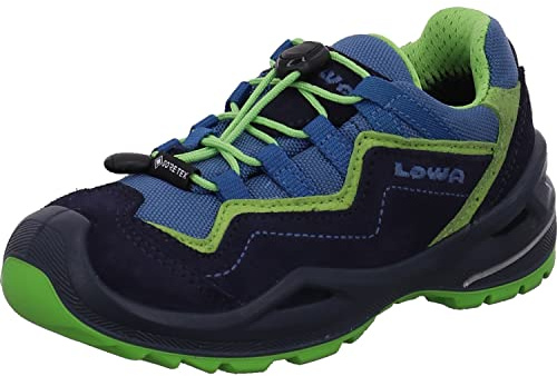 Lowa Robin Evo GTX Low-Cut Schuhe Kinder blau