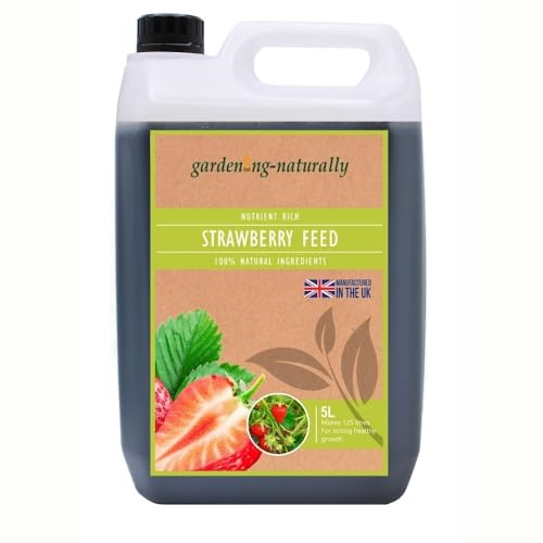 Organic Strawberry Feed Fertiliser for Strawberry Plants 5 Litres Makes 125 Litres of Food