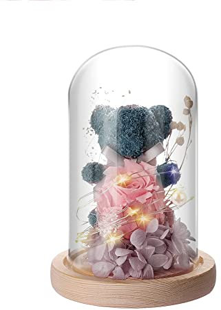 IVEOPPE Ewige Rose Bär im Glas - Rosen-Bär mit LED Licht und Holzsockel, Geschenke für Frauen Mama Frau Freundin, für Muttertag, Geburtstag, Valentinstag, Hochzeit, Weihnachten