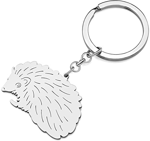 RAIDIN Edelstahl Gold Silber Plattiert Süße Tier Schlüsselanhänger Schlüsselring Geschenke für Damen Mädchen Auto Handtasche Schlüssel Charms Zubehör (Silber-058 Igel)