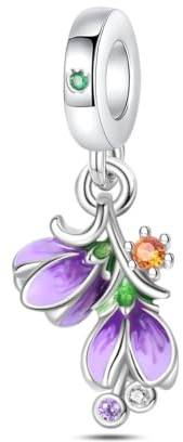 ChenYuTe 925 Sterling Silber Charms für Armbänder, Dangle Anhänger Kompatibel mit Pandora Europäischen Armbändern und Halskette Frauen