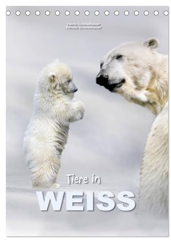 Tiere in Weiß (Tischkalender 2026 DIN A5 hoch), CALVENDO Monatskalender: Für ein weißes Ambiente - Tiere passend in Weiß (CALVENDO Tiere)